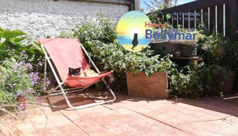 Hostal Bellymar Pichilemu Exterior photo